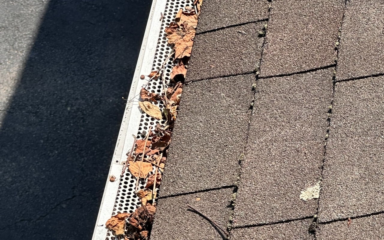 Preventative gutter cleaning tips to protect your home
