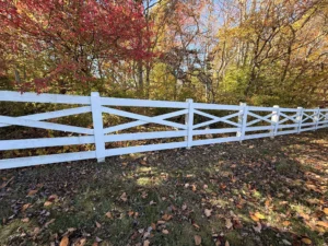 Bvl painting carpentry decks