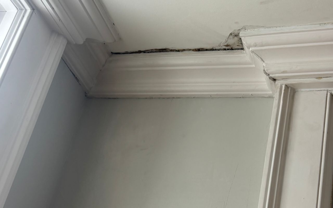 Hygrometer reading helps prevent winter wood damage indoors by tracking indoor humidity