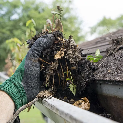 Gutter Cleaning