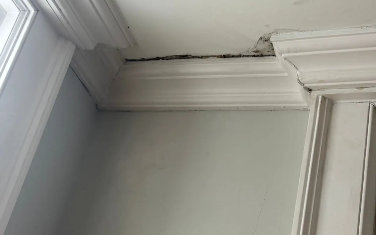 Hygrometer reading helps prevent winter wood damage indoors by tracking indoor humidity